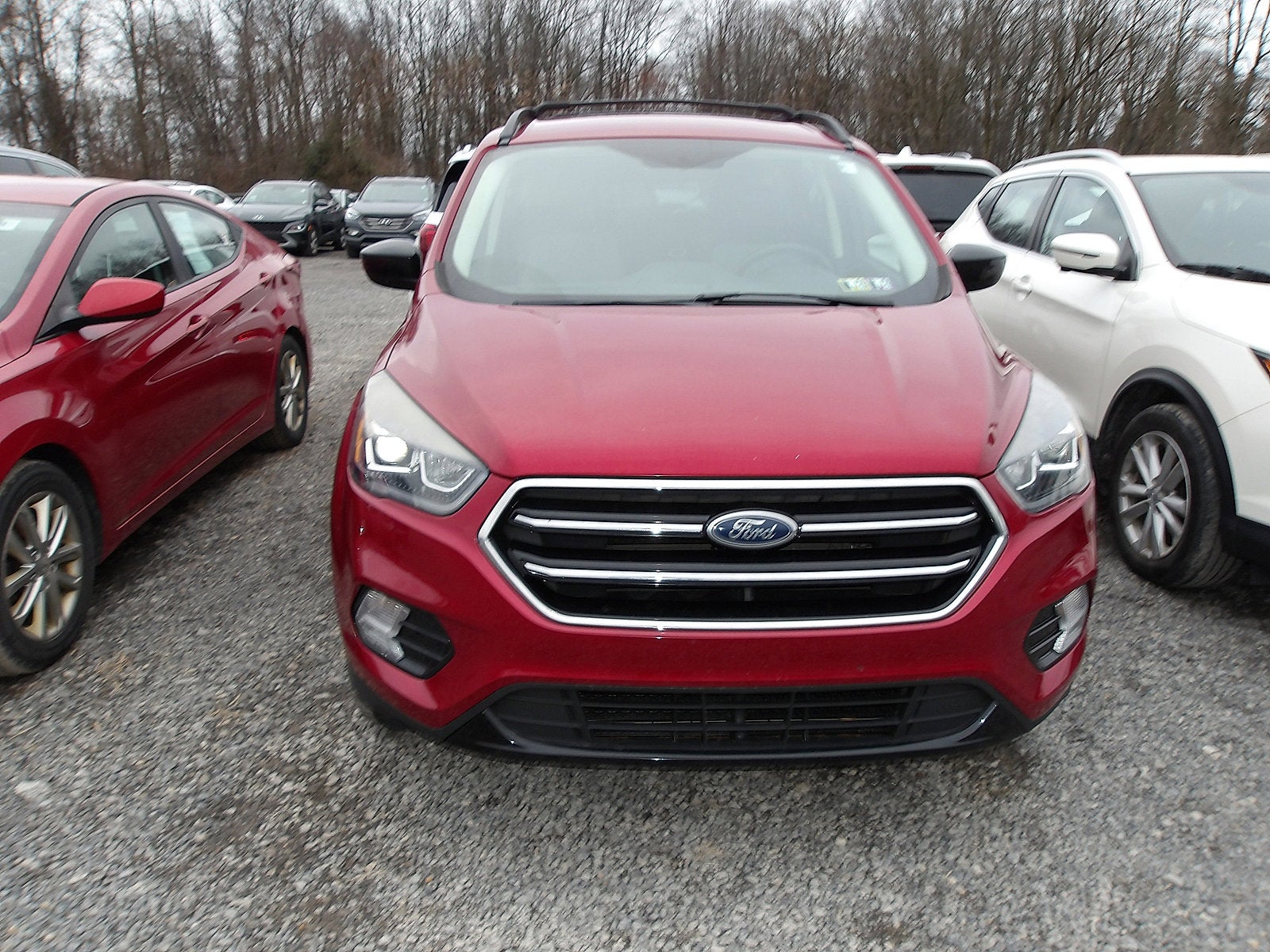 2019 Ford Escape SE