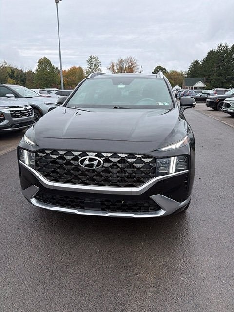2021 Hyundai Santa Fe Calligraphy