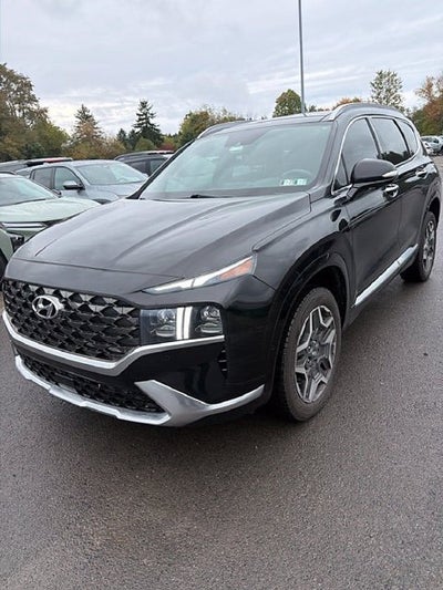 2021 Hyundai Santa Fe Calligraphy