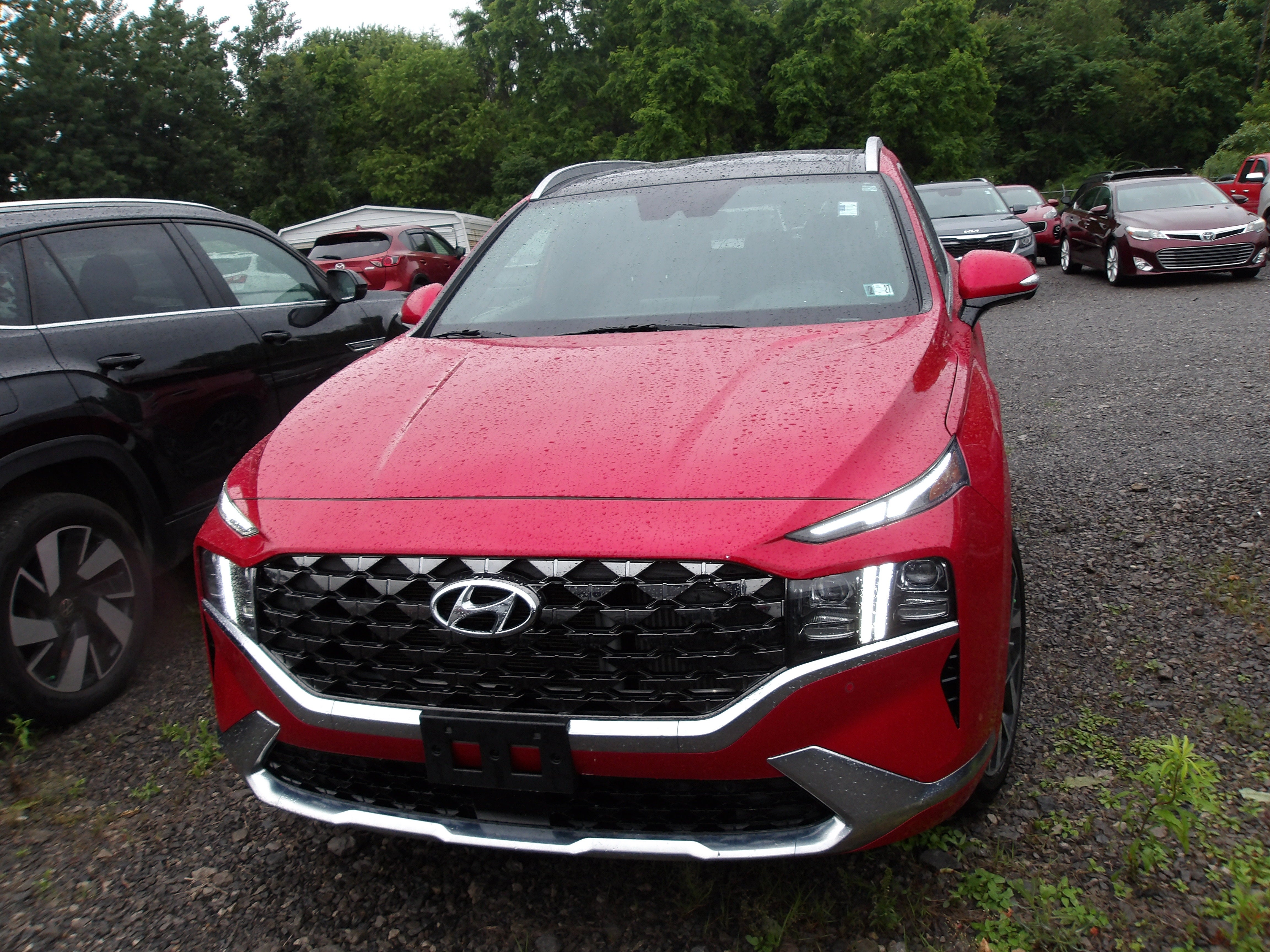 2023 Hyundai Santa Fe Calligraphy